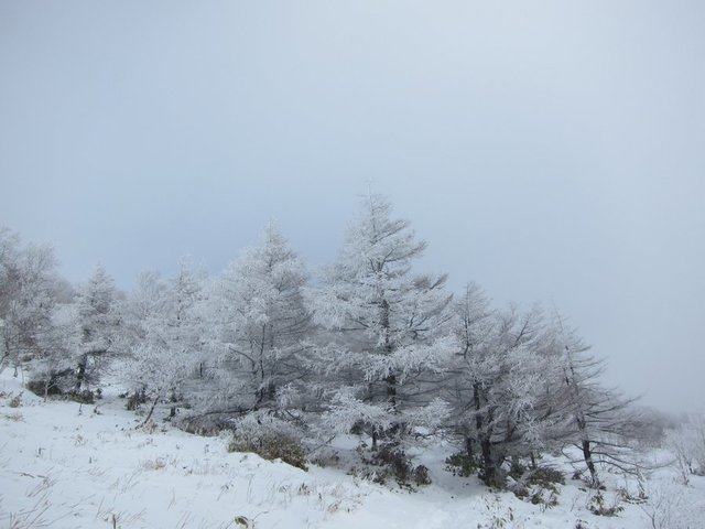 IMG_7038.JPG