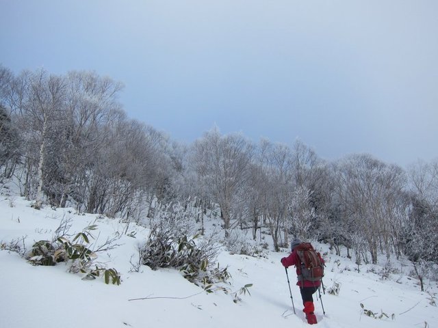 IMG_7039.JPG