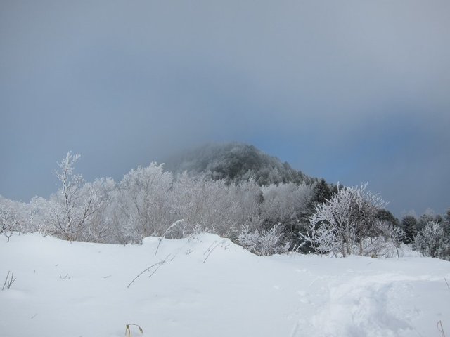 IMG_7042.JPG