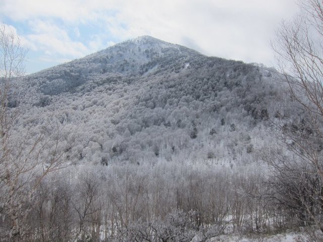 IMG_7052.JPG