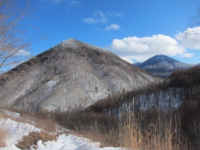 IMG_7059.JPG