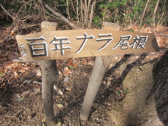 IMG_7079.JPG