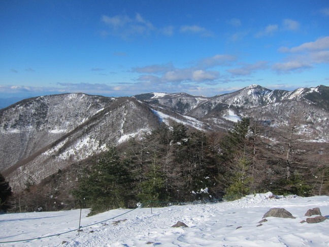 IMG_4429.JPG