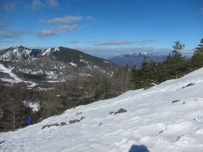 IMG_4430.JPG