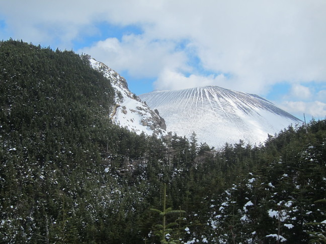 IMG_4433.JPG