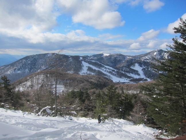 IMG_4463.JPG