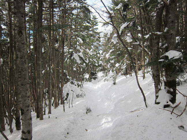 IMG_4462.JPG