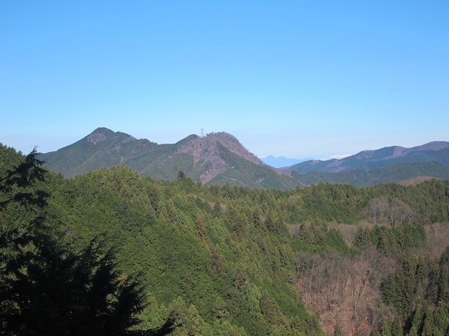 IMG_4518.JPG