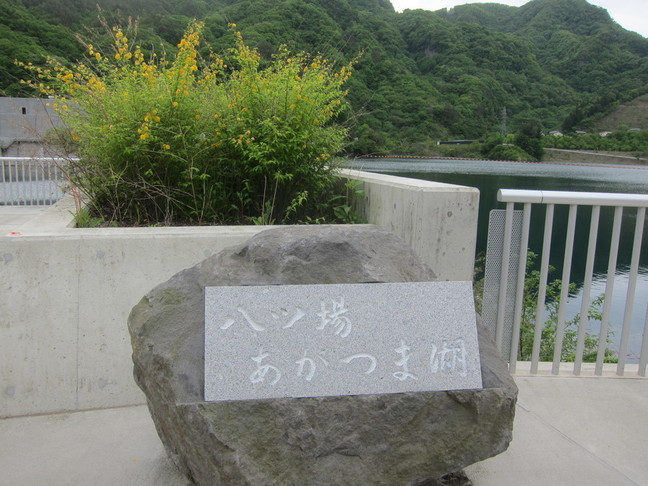 IMG_6817.JPG