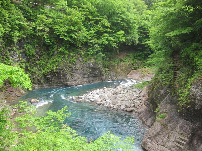 IMG_6827.JPG