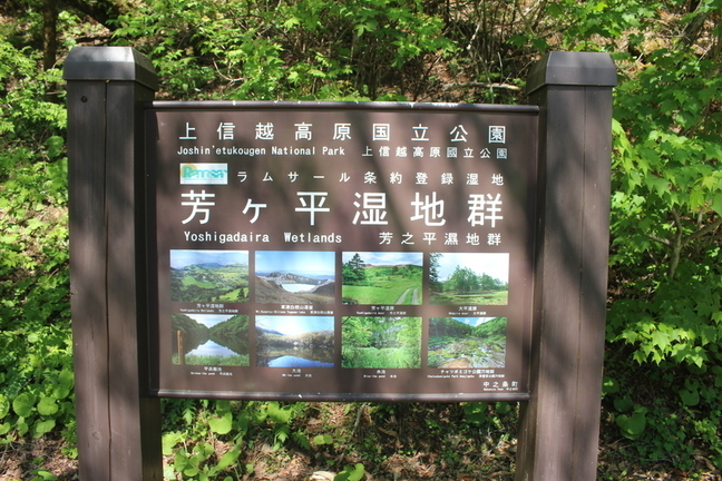 IMG_7135.JPG