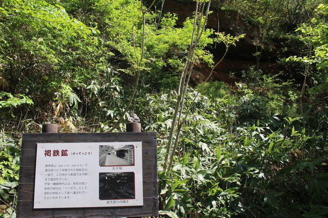 IMG_7137.JPG