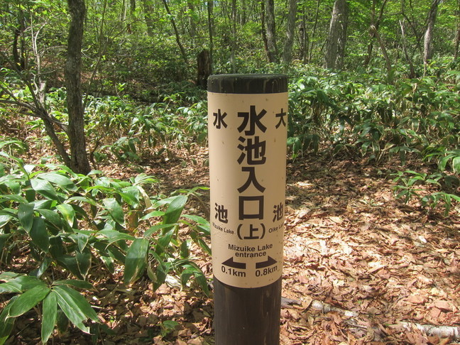 IMG_7151.JPG