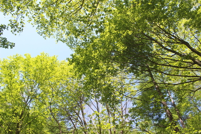 IMG_7148.JPG