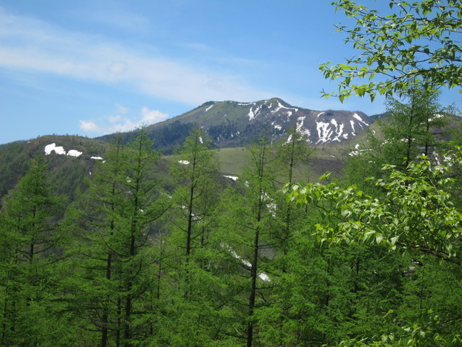 IMG_7163.JPG