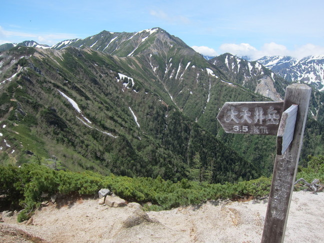IMG_7676.JPG