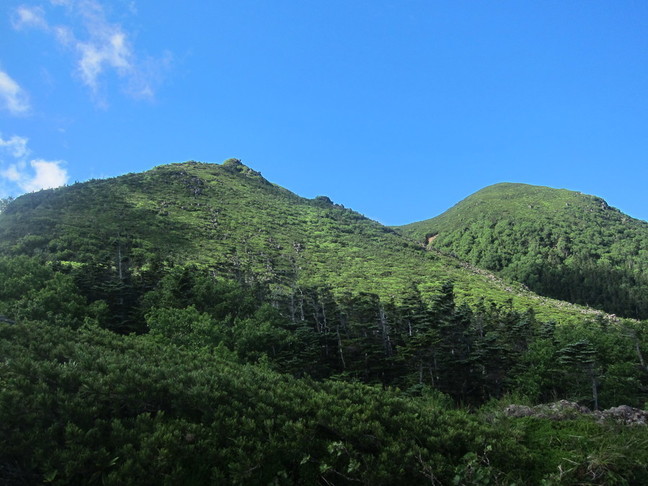 IMG_8370.JPG