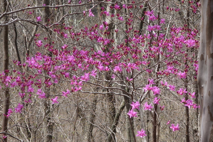 IMG_6406.JPG