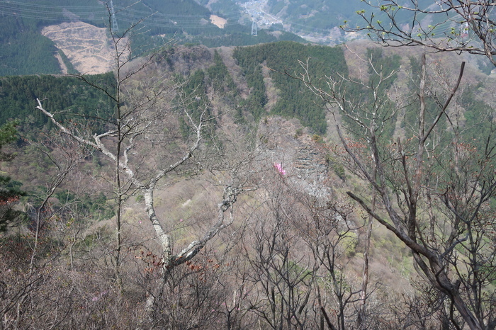IMG_6413.JPG