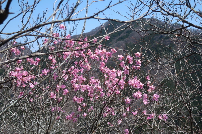 IMG_6434 .JPG