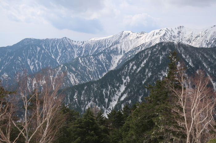 IMG_6436.JPG