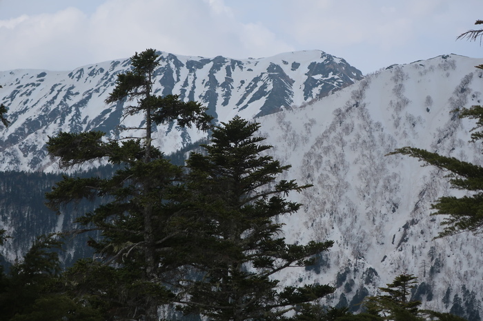 IMG_6437.JPG