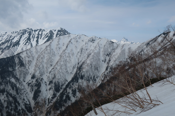 IMG_6444.JPG