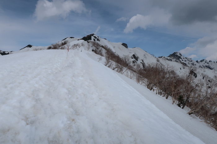 IMG_6450.JPG