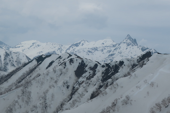 IMG_6452.JPG