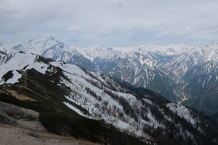 IMG_6460.JPG